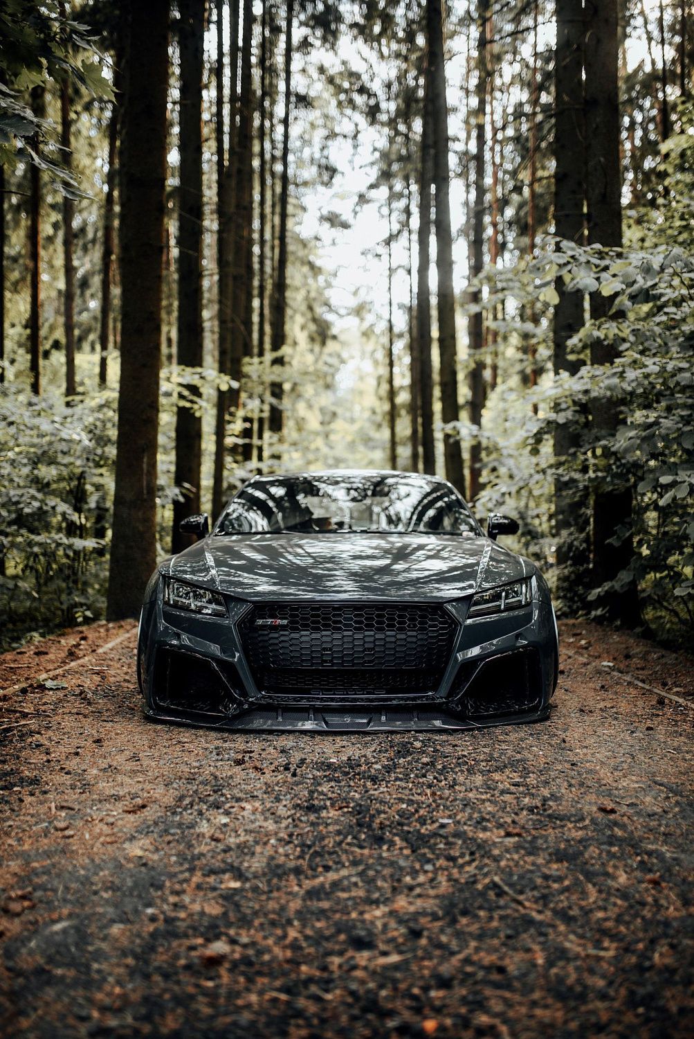 Лесной шторм