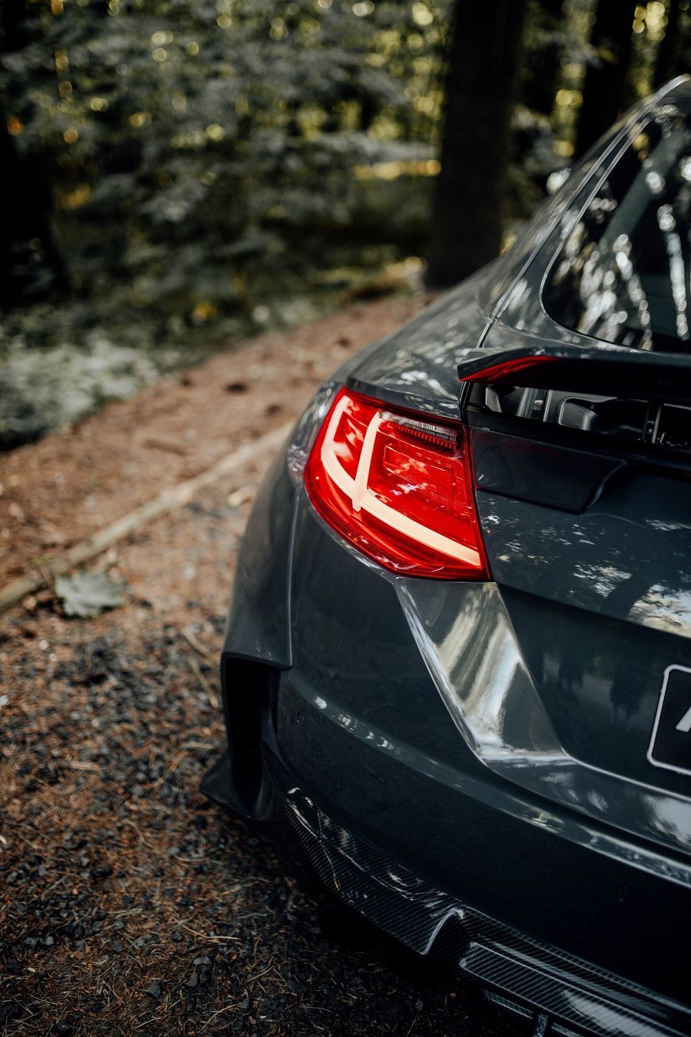 Лесной шторм