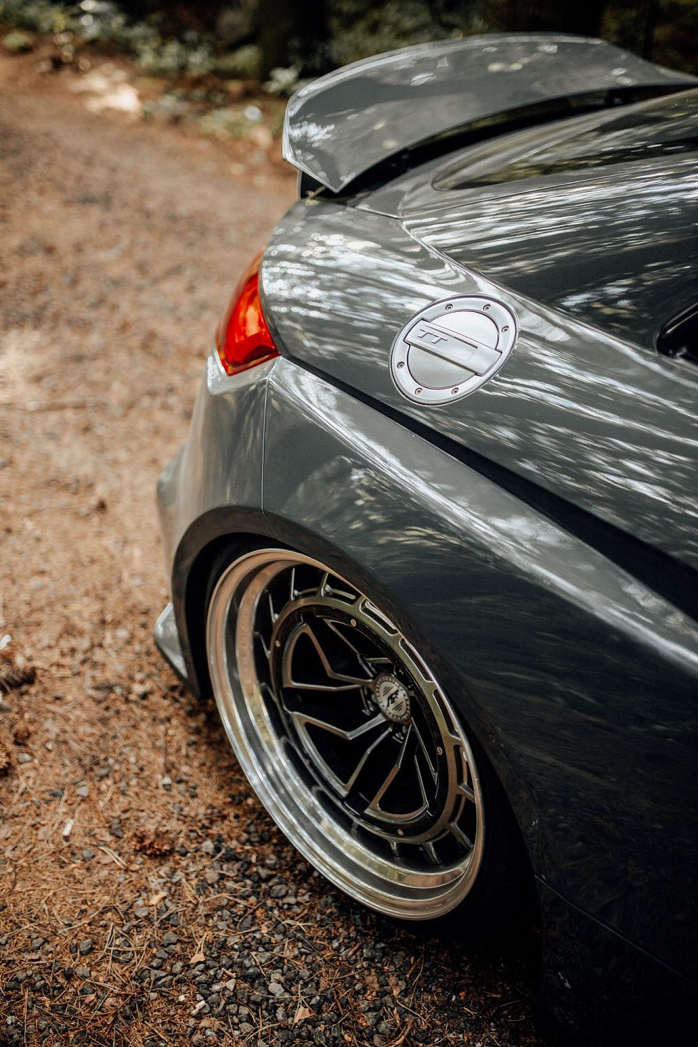 Лесной шторм