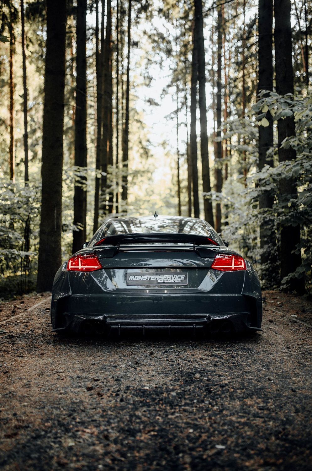 Лесной шторм