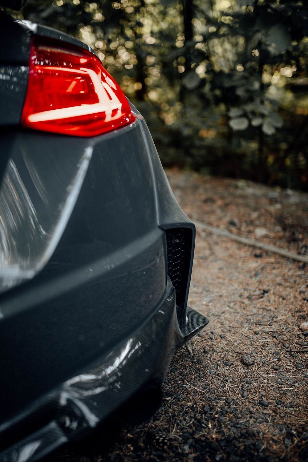 Лесной шторм