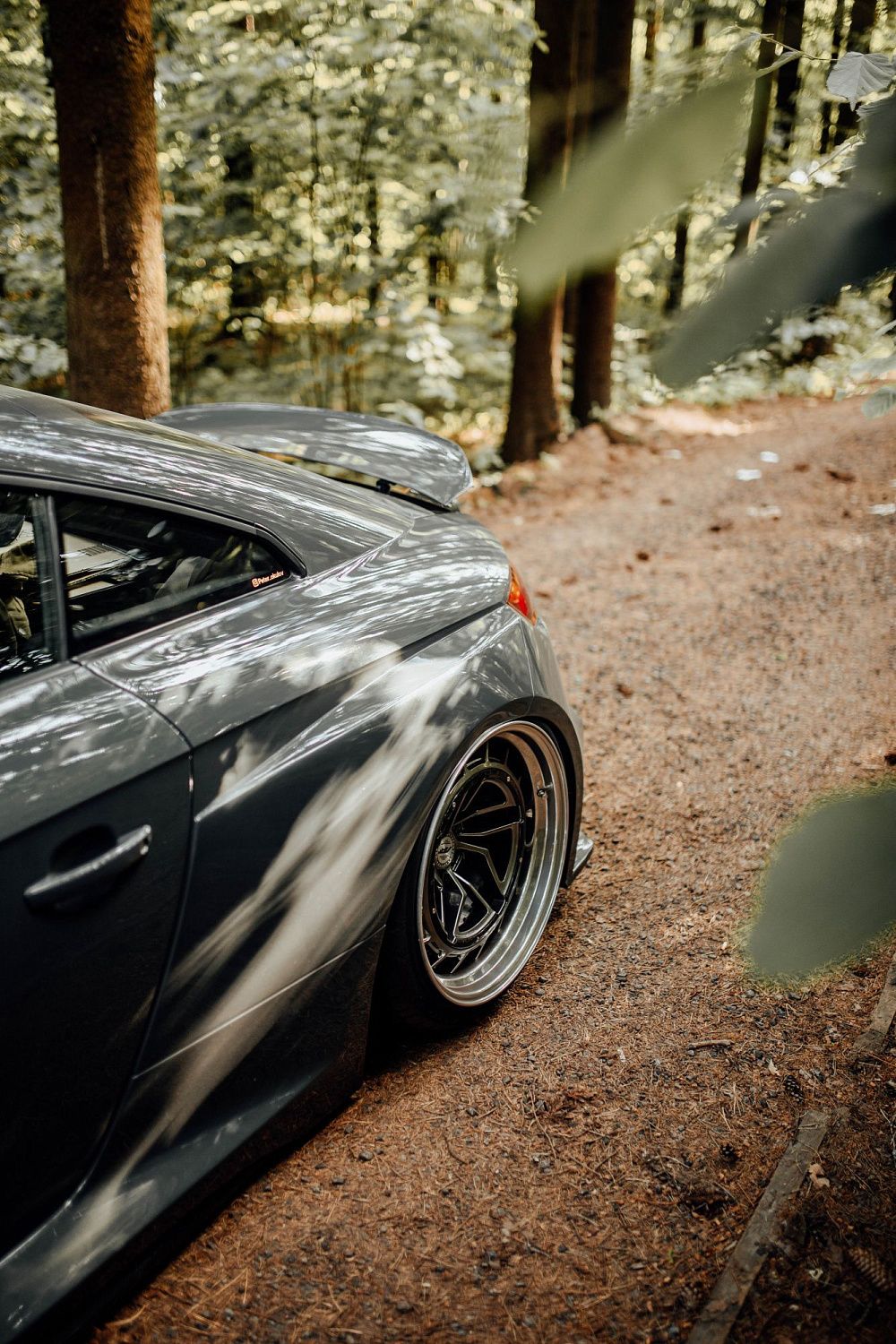 Лесной шторм