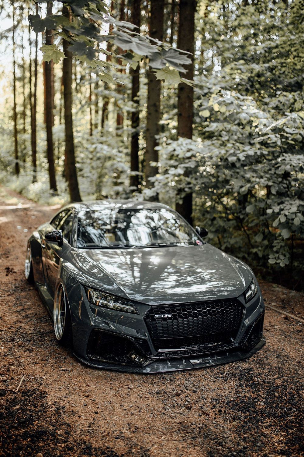 Лесной шторм