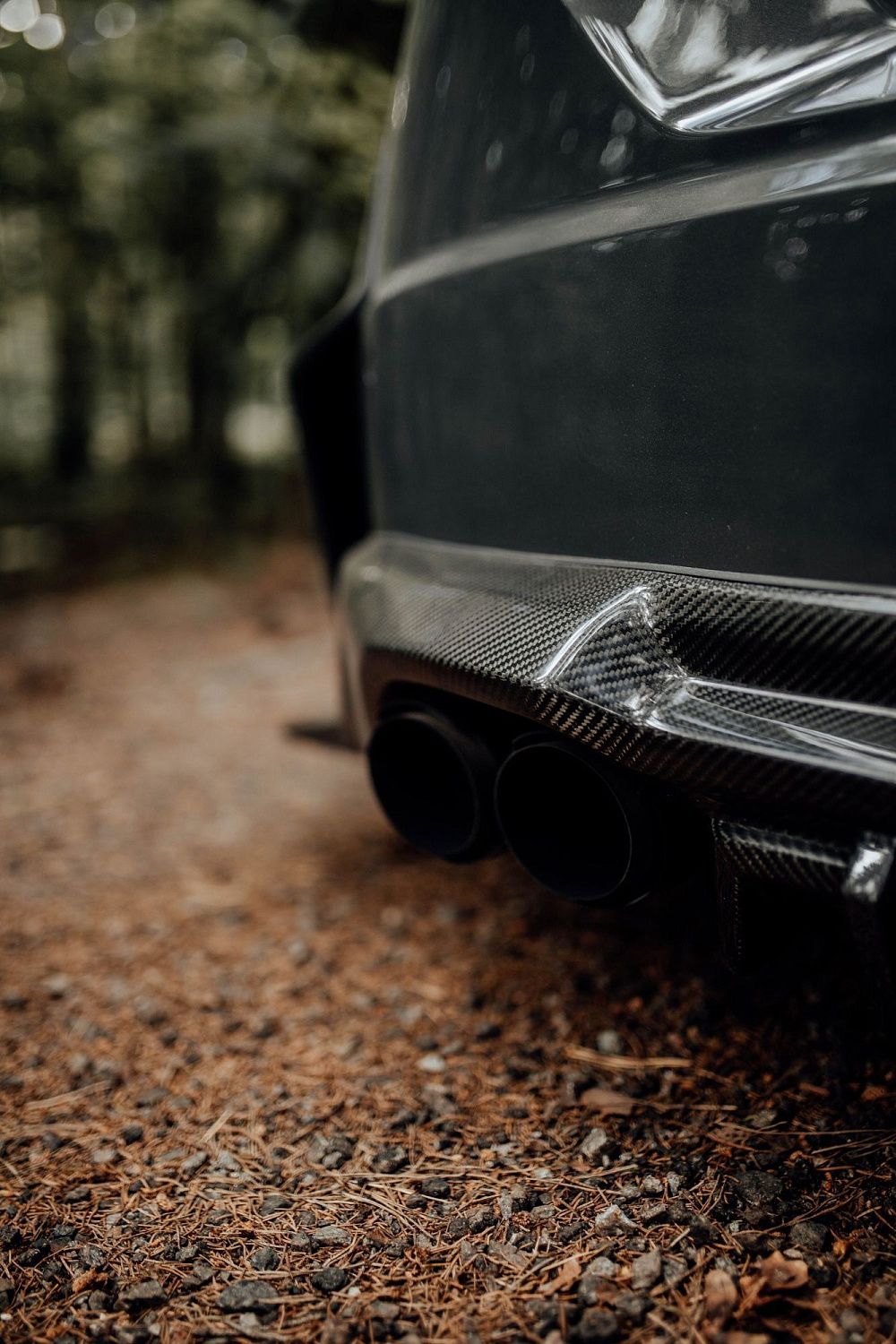 Лесной шторм