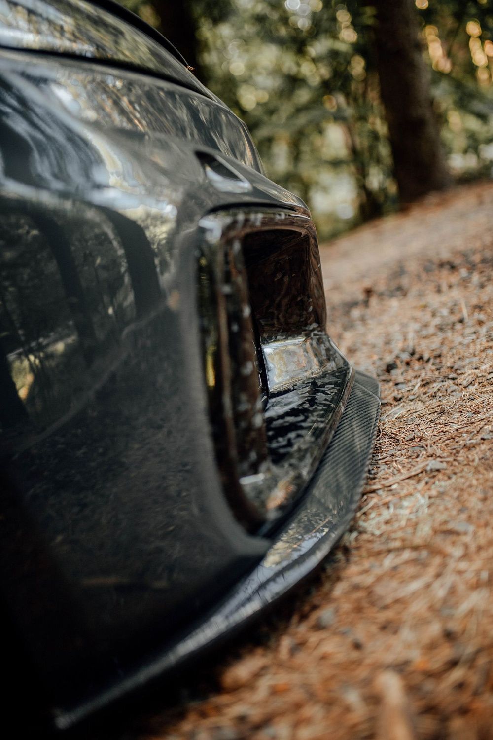 Лесной шторм