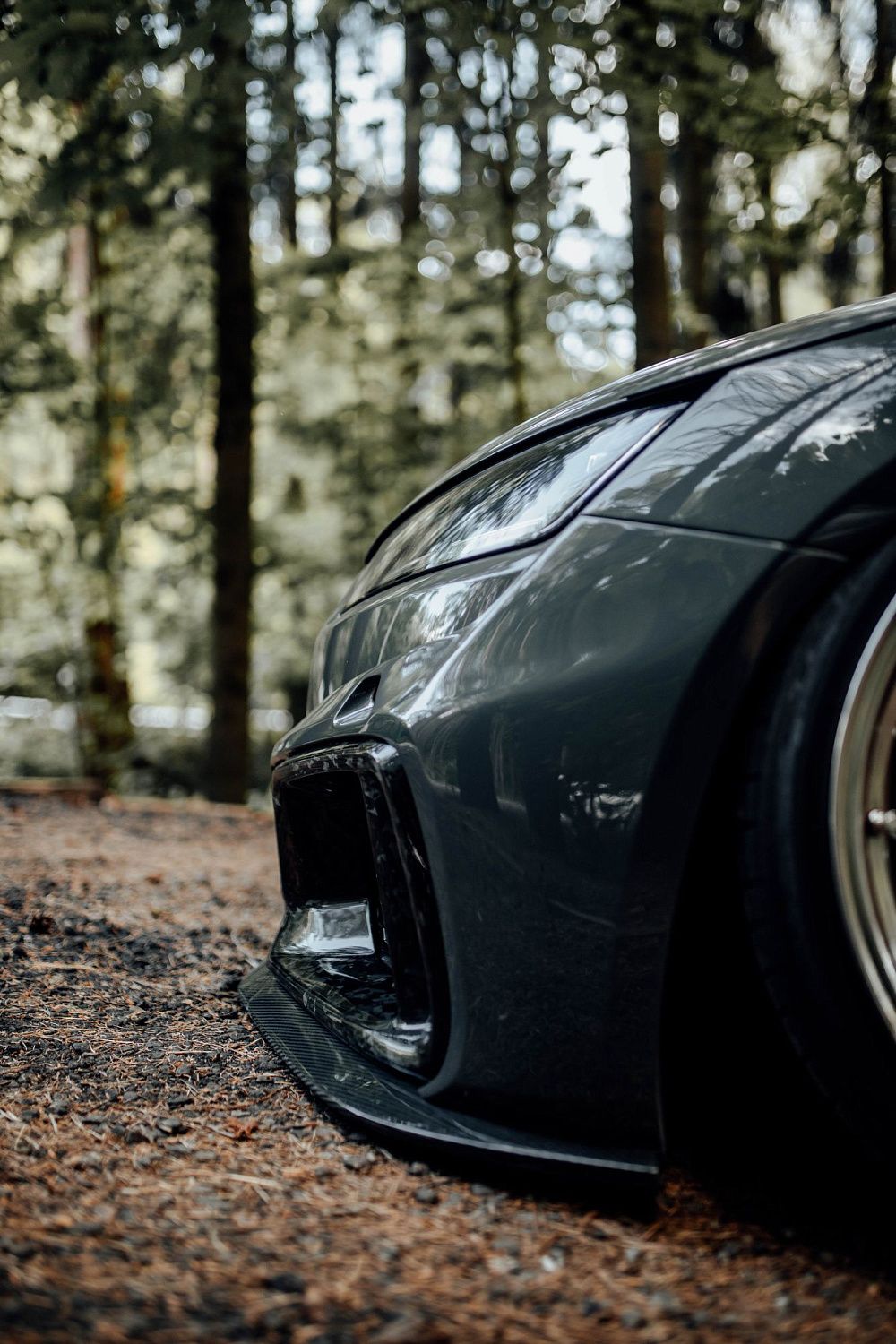 Лесной шторм