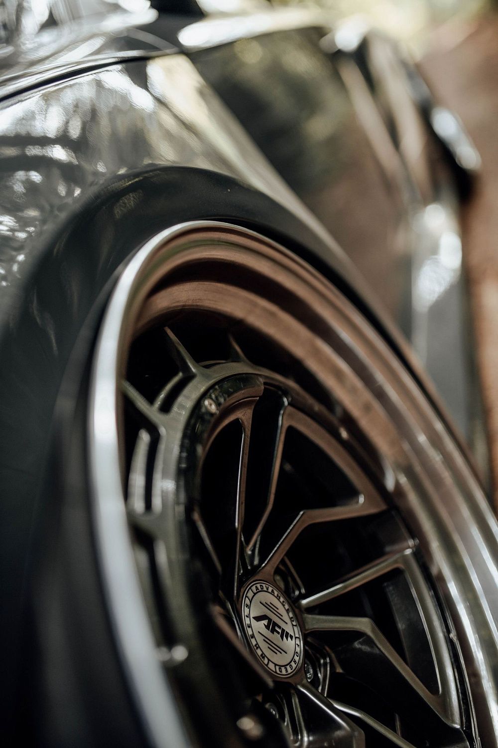 Лесной шторм