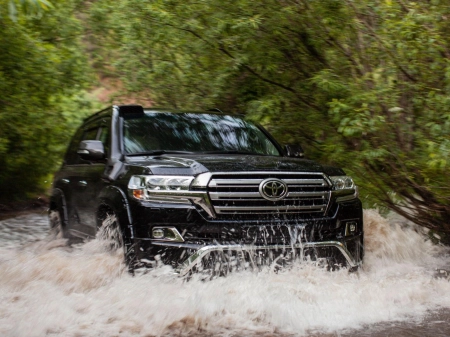 Шноркель TLC 200 2015-2020