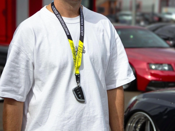 Ланьярды 3 цвета