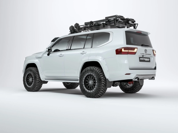 Расширители арок TLC 300